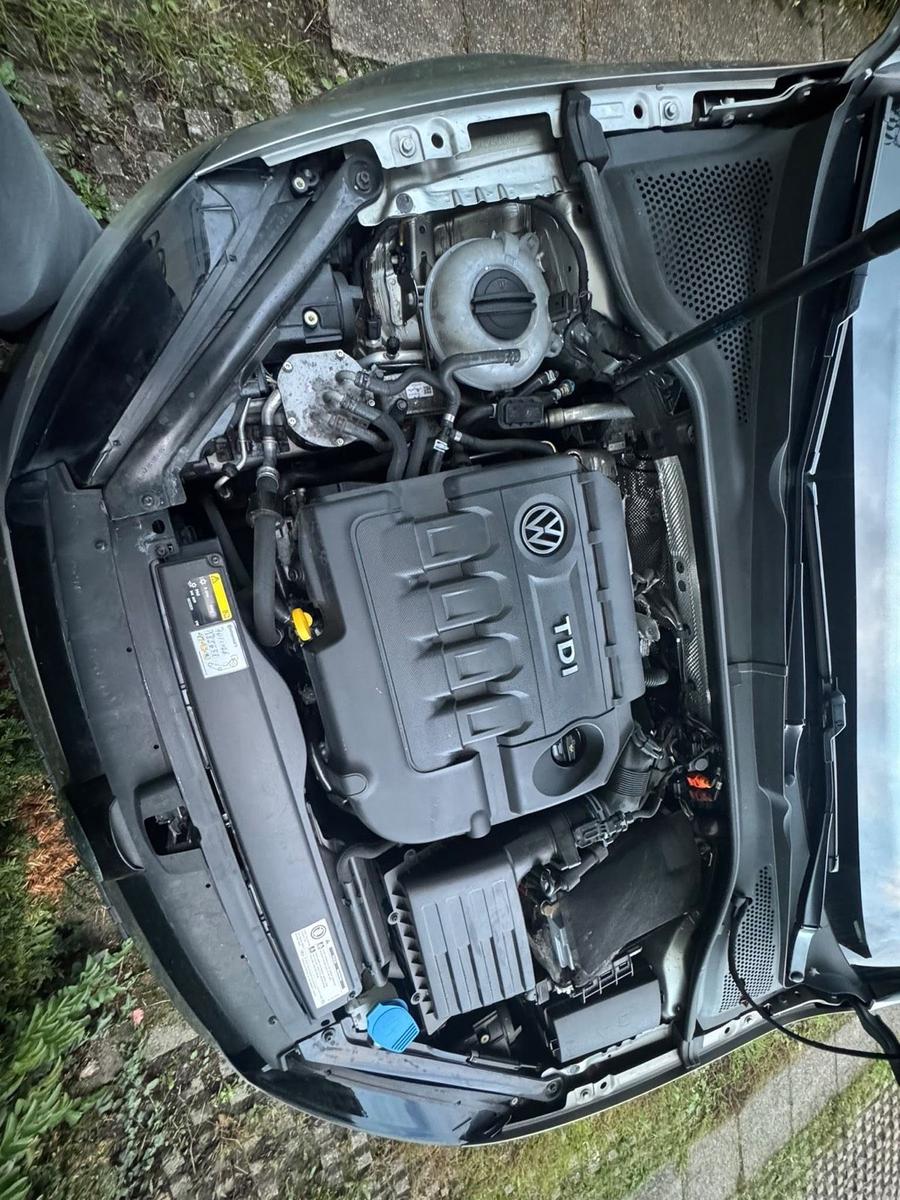 Volkswagen Golf 2013 — photo 10