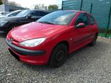 Peugeot 206 Petit Filou - Peugeot 206: Rot