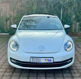 Volkswagen Beetle Lim. Sport Xenon/Leder/Navi/Led - VW Beetle Gebrauchtwagen in Hamburg