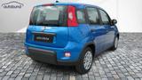 Fiat Panda 1,0  Hybrid (MHEV) Pandina Base NBA PDC SH - Fiat Panda in Hagen