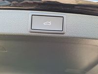 Skoda Octavia - Vorschau Bild 23