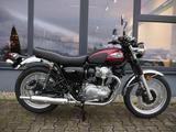 Kawasaki W 800 - neu - 4 Jahre Garantie - Rot - KAWASAKI BENZIN MOTORRAD W800