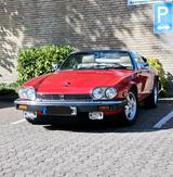 Jaguar XJSC V12 Cabrio - Jaguar: V 12