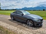 BMW M235i Coupe Steptronic - BMW M235: M235i