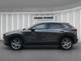 Mazda CX-30 2.0 SKYACTIV-G M Hy. 150 Selection 2WD (E6 - Mazda CX-30 in Hamburg