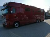 Mercedes-Benz Actros 2651 STX Pop-Out, Pop-Up. 6 Pferde - Gebraucht Tier-/Pferdetransport 2 pferde