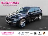 Skoda Kamiq 1.0 Selection 1,0 TSI+DSG+ACC+KAMERA+SHZ - Skoda Kamiq in Aachen