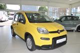 Fiat Panda Pandina-5-Sitzer- - Fiat Panda: Sitzer