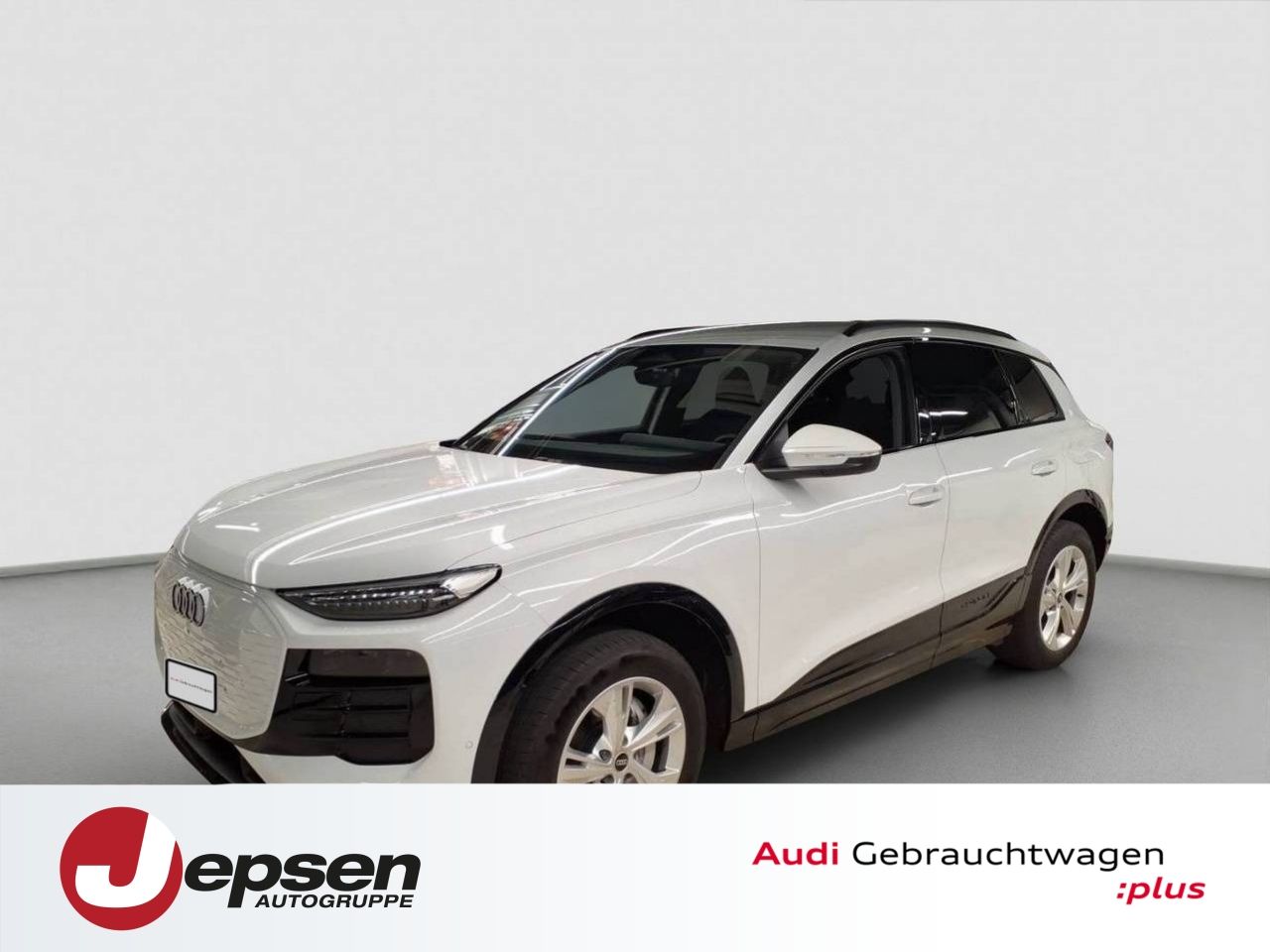 Audi Q6 SUV e-tron e-tron 185 kW 360 4xSHZ ACC AUT LM