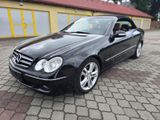 Mercedes-Benz Mercedes CLK 280 Cabrio Avantgarde / A209 - Mercedes-Benz: Clk A209
