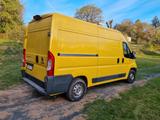 Fiat Ducato - gebrauchte Fiat Ducato aus dem Jahr 2017
