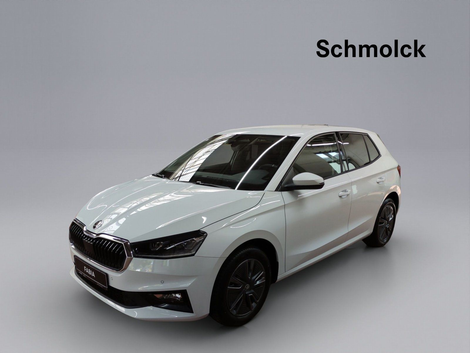 Skoda Fabia Balance 1.0 TSI DSG 116 PS LED ACC PDC RFK
