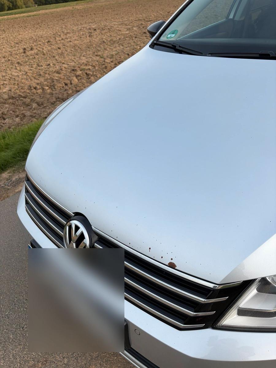 Volkswagen Passat 2014 — photo 13