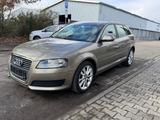 Audi A3 Sportback 1.6 Ambiente - Audi A3: Beige