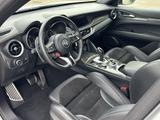 Alfa Romeo Stelvio Quadrifoglio Q4| 2.9 V6 510 PS|4xSHZ|ACC - Alfa Romeo Stelvio aus 2021