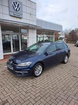 Volkswagen Golf VII Variant 1.6 TDI DSG-Winter-Standh.-AHK - mit Diesel-Antrieb: Kombi