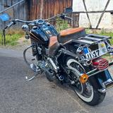 Harley-Davidson Heritage Softail - HARLEY-DAVIDSON 1996 SOFTAIL