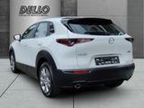 Mazda CX-30 Selection M Hybrid 2.0 HUD Navi LED ACC El - Mazda CX-30 in Hamburg