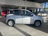 Fiat Panda AUTOMATIK+1 HAND+EINPARKHILFE+ALU Panda Lo - Fiat Panda: Automatik