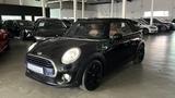 MINI Cooper CABRIO AUTOMATIK NAVI LED LEDER CHESTER - MINI Cooper Cabrio: Roadster, Automatik