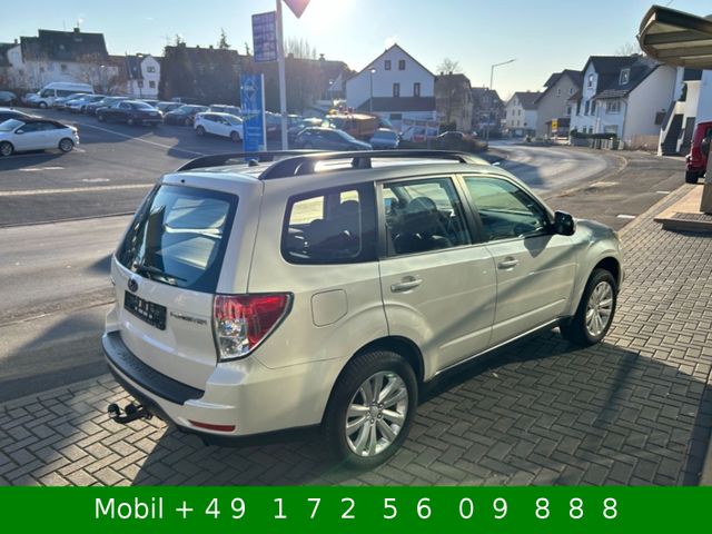 Subaru Forester Comfort Autom 4x4 AHK Xenon Kamera GSD