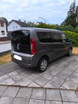 Fiat Doblo  Cargo 1.6 Multijet Maxi Kombi N1  L2 - Fiat Doblo: Kombi