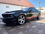 Ford Mustang 3,7 Liter V6 Roush - Ford Mustang: Roush