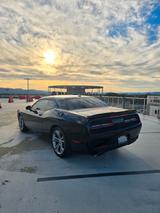 Dodge Challenger R/T - 6spd Manual - Dodge Challenger von privat