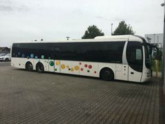 MAN R 13 Lions Regio Euro5 EEV 64+1 Schlafsitze