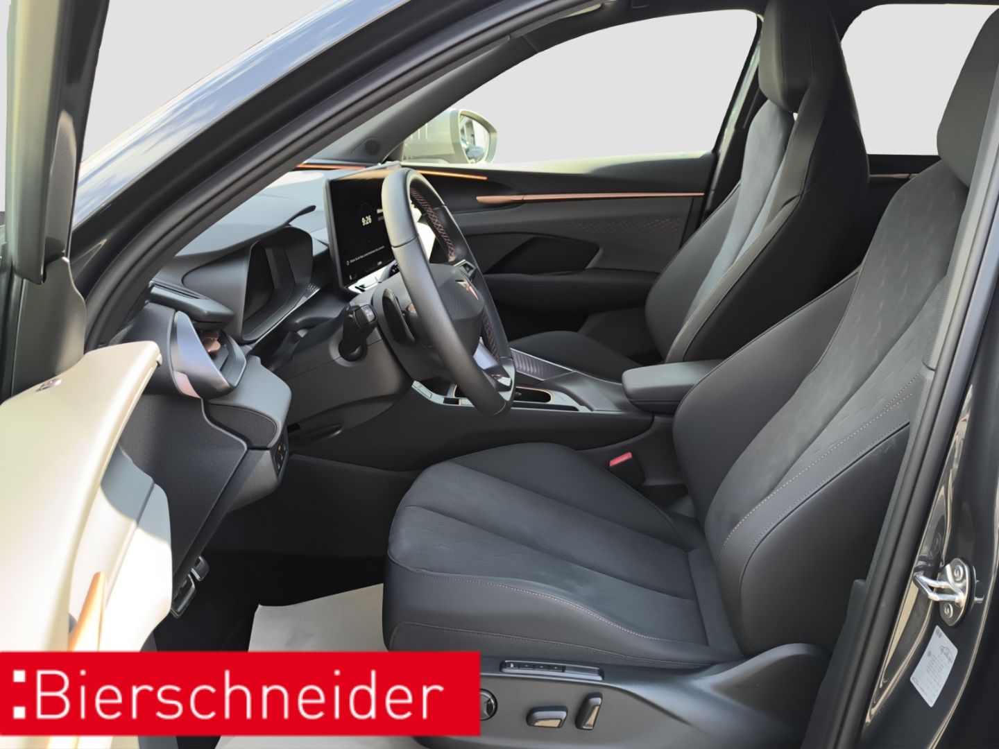 Cupra Terramar - Bild 13