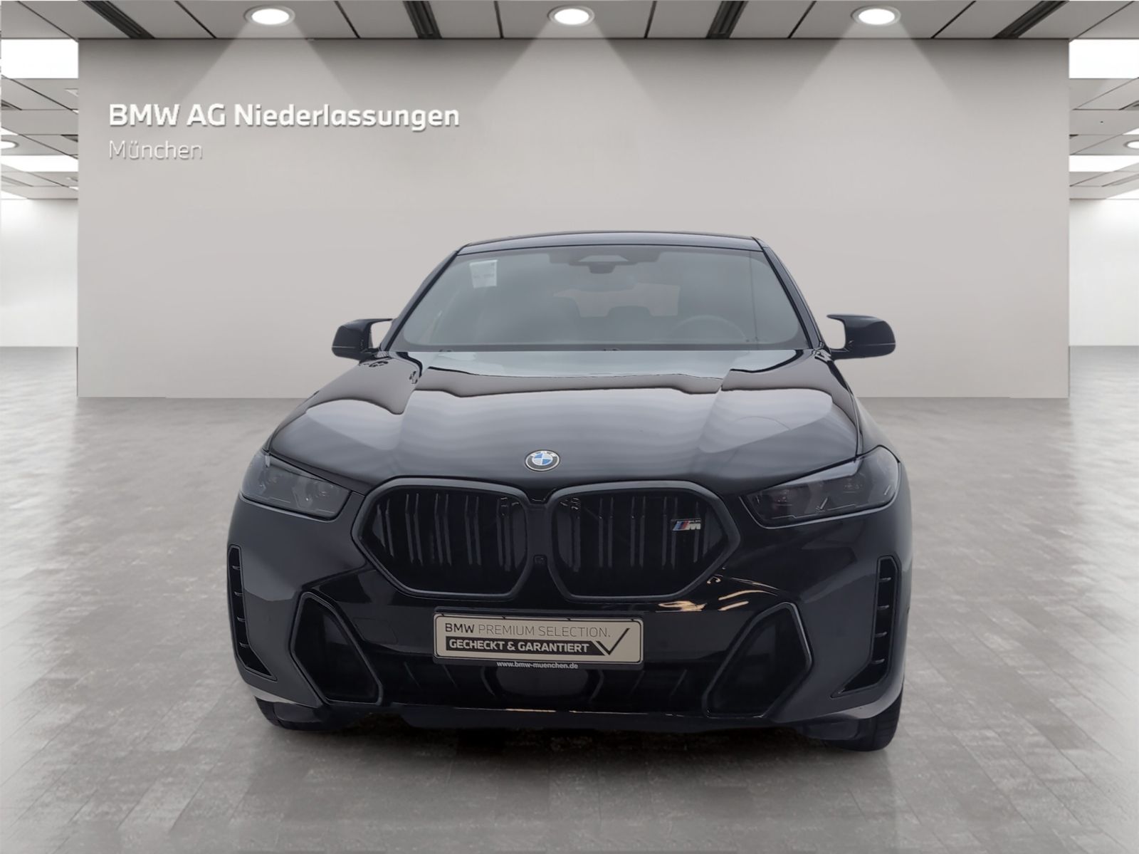 BMW X6 M60 - Bild 4