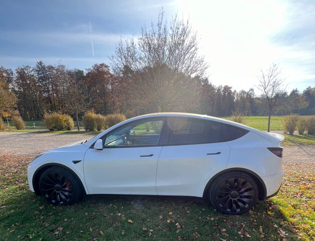 Tesla Model Y Performance Dual Motor AWD Performance