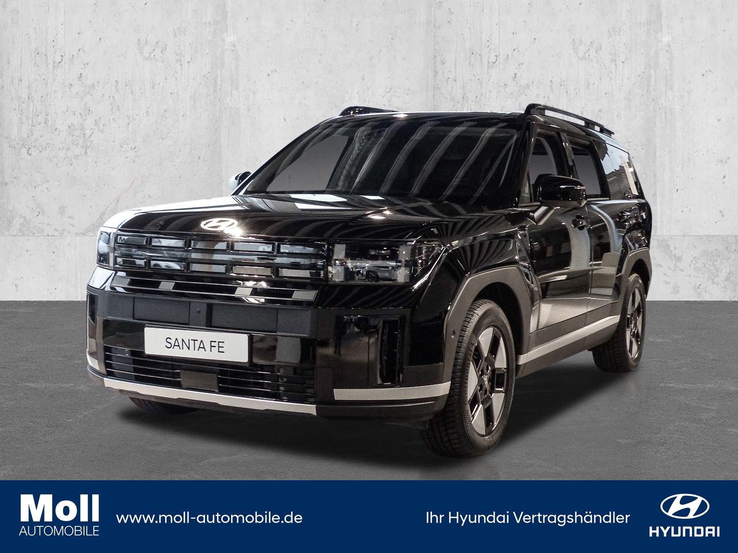 Hyundai SANTA FE HEV INTRO 4WD HUD Niveau Navi Leder Dig