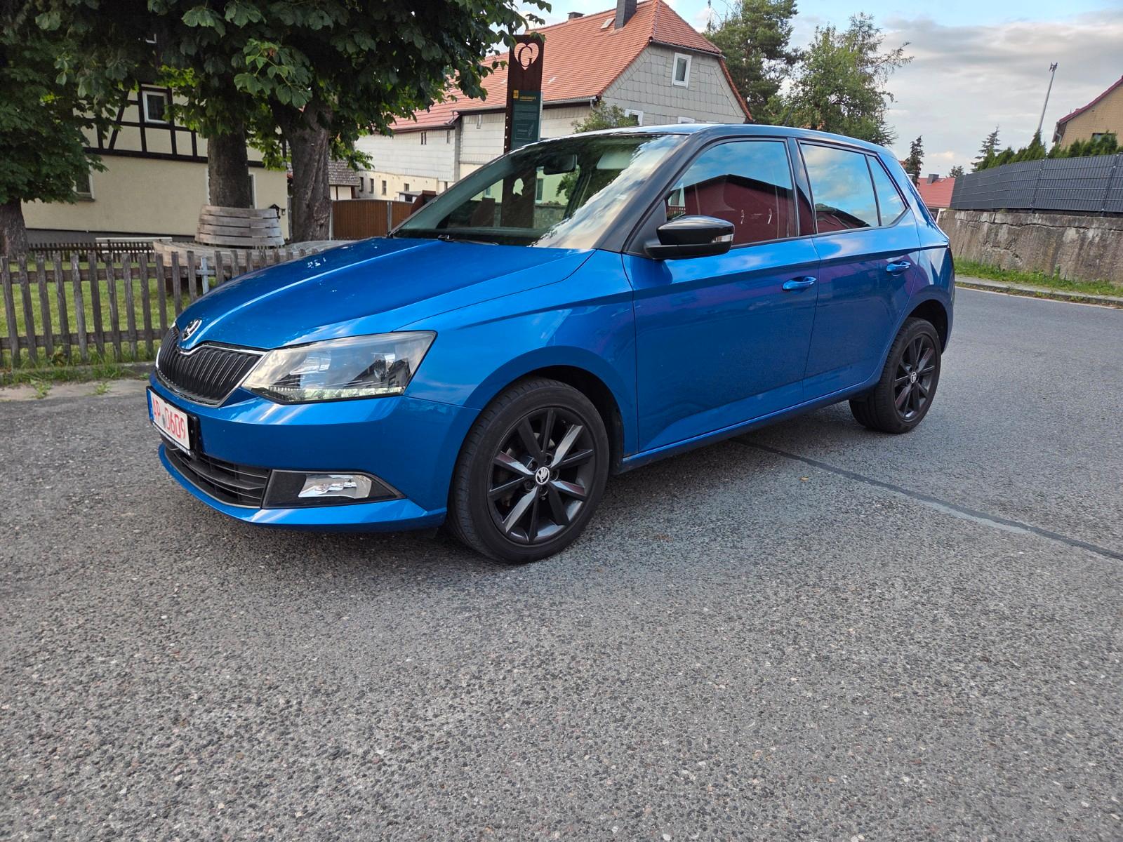 Skoda Fabia SOND.MOD.1 HAND 2 FARBIG HU NEU  8 FACH