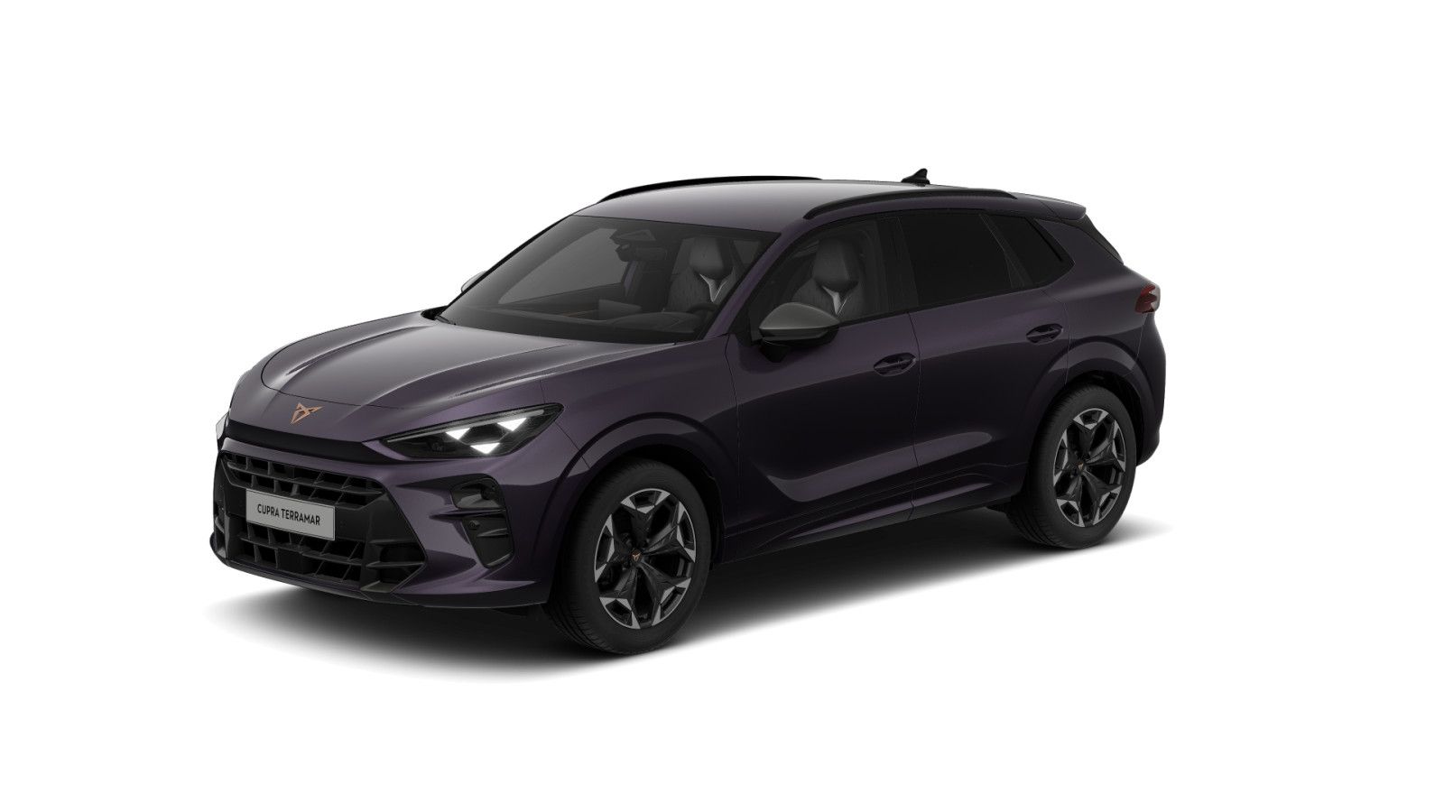 Cupra Terramar - Bild 2