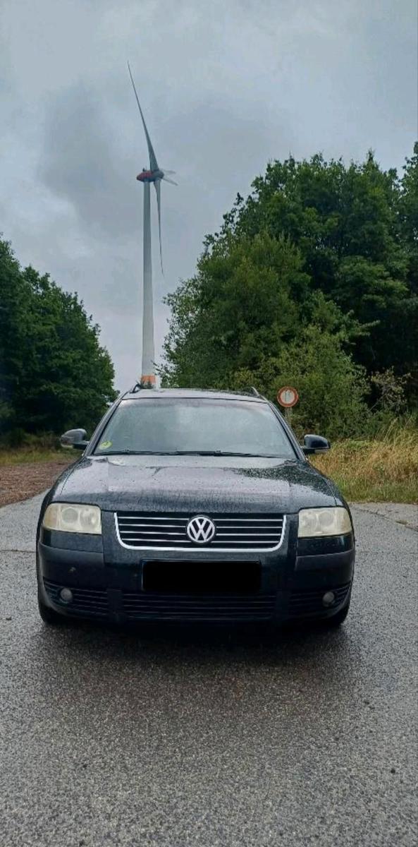 Volkswagen  2005 — rear view