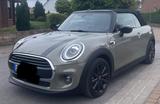 MINI Cooper Cabrio Cooper - graue MINI Cooper Cabrio
