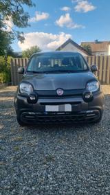 Fiat Panda Cross Hybrid - Fiat Panda Gebrauchtwagen in Hannover