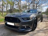 Ford Mustang VI GT 5.0 Ti-VCT V8 EU-Modell - Ford: T Modell