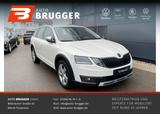 Skoda Octavia Combi Scout 2.0 TDI DSG 4x4 NAVI LED AHK - Skoda: Combi Scout