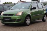 Ford Fiesta 1.3 Fun X - Ford Fiesta: Grün, Metallic
