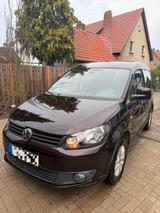 Volkswagen Caddy 1,6TDI 75kW Roncalli Edition 7-Sitze R... - Volkswagen Caddy: Roncalli Edition
