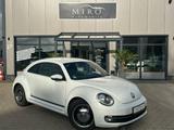 Volkswagen Beetle 1.2 TSI BMT CUP - Volkswagen Beetle CUP mit Benzin-Antrieb