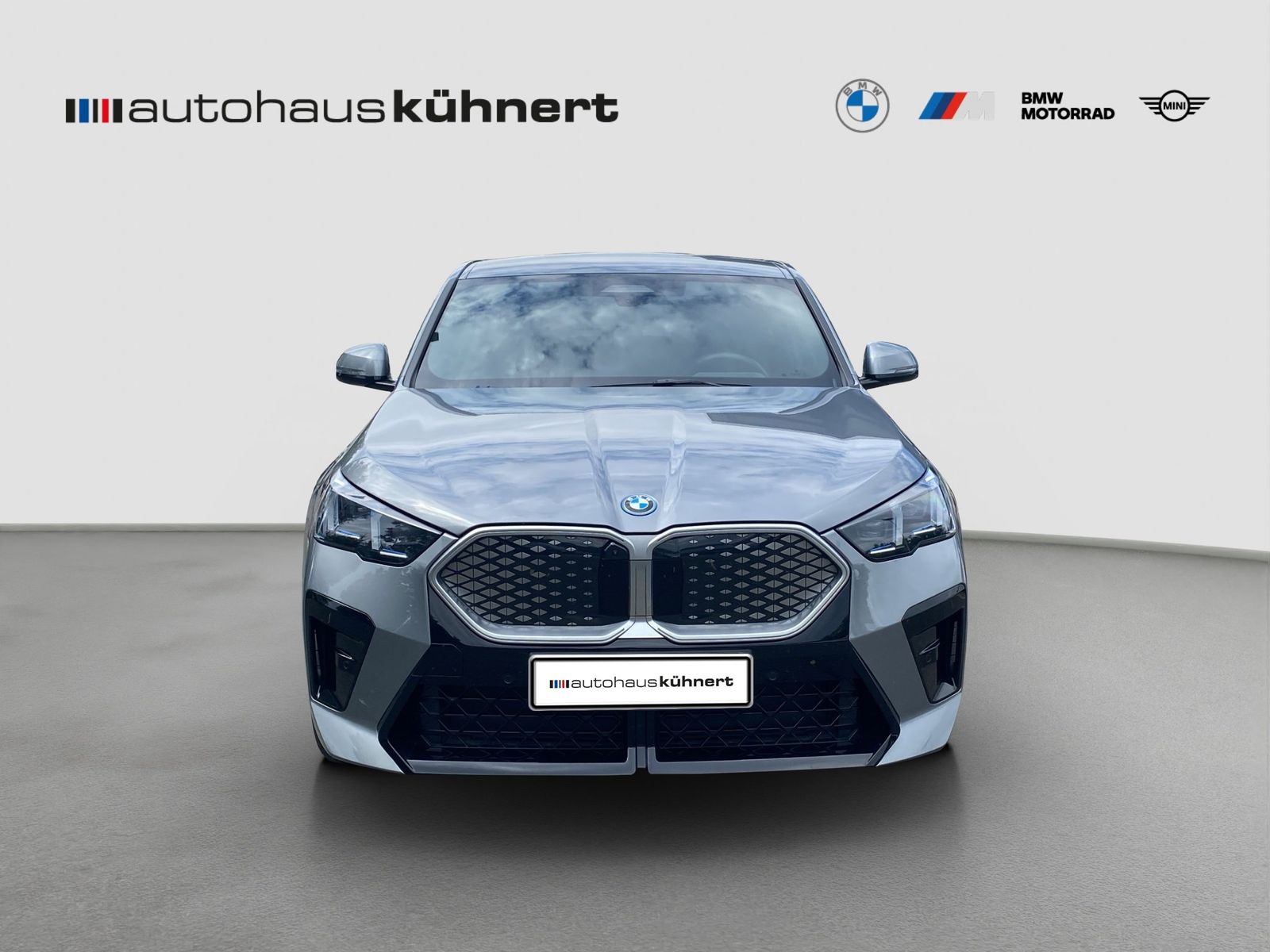 BMW iX2 xDrive30 M-Sport ACC SpurAss 360° AHK imagem 3