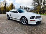 Ford Mustang Shelby GT - MwSt! - Ford Mustang aus 2007: Shelby