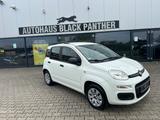 Fiat Panda Pop Modell 2017 1Hand Klima - Fiat Panda Gebrauchtwagen in Krefeld