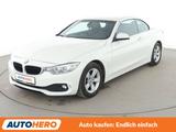 BMW 420d Advantage Aut.*NAV*XENON*TEMP*PDC*SHZ* - BMW 420: Cabrio
