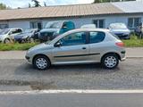 Peugeot 206 Petit Filou - Peugeot 206: Petit Filou
