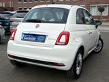 Fiat 500 Basis/1.Hd/Garantie/Gepflegt- - : Weiß, Kleinwagen