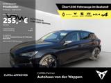 Cupra Leon 1.5 TSI Navi, LED, Kamera Klima Navi - CUPRA Leon Leasingangebote für Privatpersonen